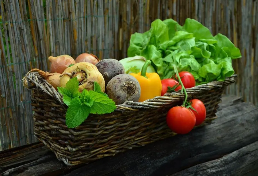 Unalomig ismert, hogy a több zöldség egyszerűen egészséges! Előfordul azonban, hogy egyszerűen utáljuk őket. Íme néhány fortély, hogy hogyan tedd kellemesebbé a zöldségbevitelt.